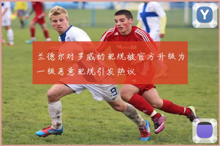 兰德尔对罗威的犯规被官方升级为一级恶意犯规引发热议