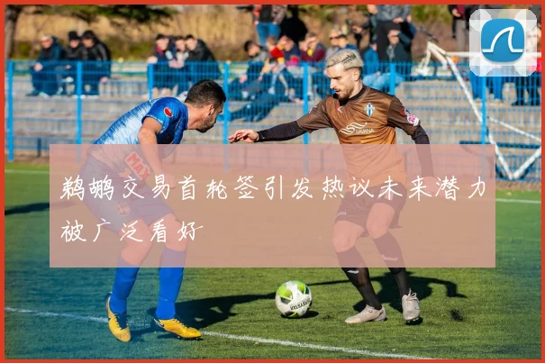 鹈鹕交易首轮签引发热议未来潜力被广泛看好