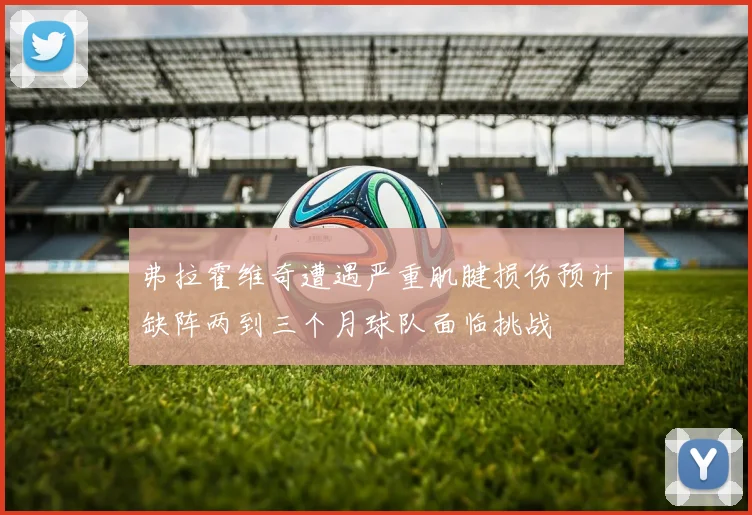 弗拉霍维奇遭遇严重肌腱损伤预计缺阵两到三个月球队面临挑战