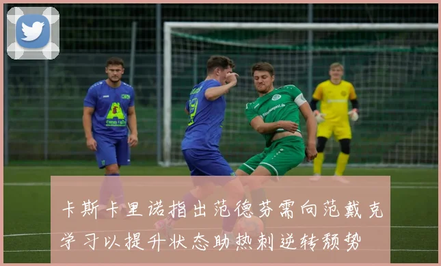 卡斯卡里诺指出范德芬需向范戴克学习以提升状态助热刺逆转颓势